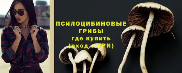 mdpv Бородино