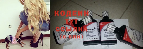 мдпв Бугульма