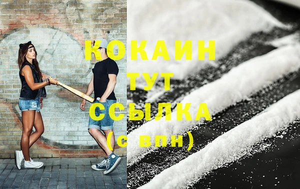 mdpv Бородино