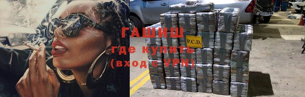 ПСИЛОЦИБИНОВЫЕ ГРИБЫ Богданович
