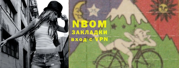 mdpv Бородино